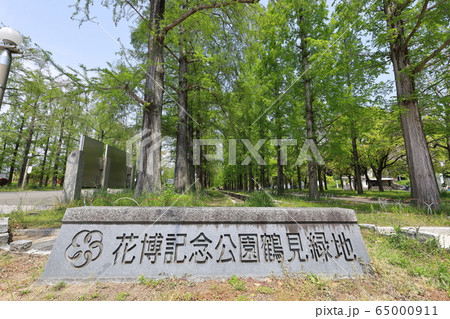 花博記念公園鶴見緑地 65000911