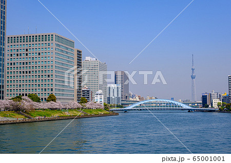 東京・桜咲く隅田川テラスと永代橋・スカイツリー 65001001