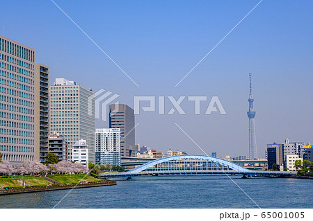 東京・桜咲く隅田川テラスと永代橋・スカイツリー 東京・桜咲く隅田川テラスと永代橋・スカイツリー 65001005