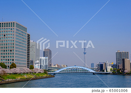 東京・桜咲く隅田川テラスと永代橋・スカイツリー 東京・桜咲く隅田川テラスと永代橋・スカイツリー 65001006