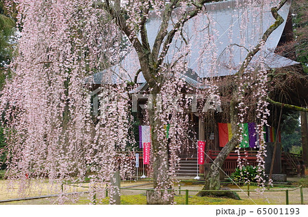 栄福寺(千葉市) 栄福寺(千葉市) 65001193