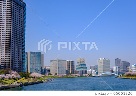 東京・桜咲く石川島公園と隅田川 65001226