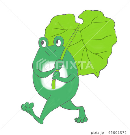 フキの傘とカエル 65001372