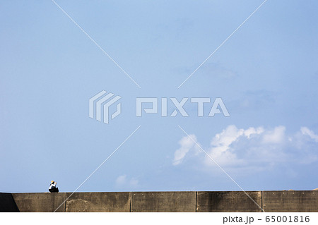 日本最南端、沖縄県波照間港の防波堤 65001816