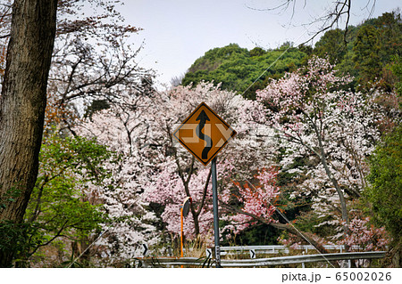 連続カーブ注意 65002026