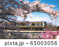 桜の下で疾走する電車 65003056