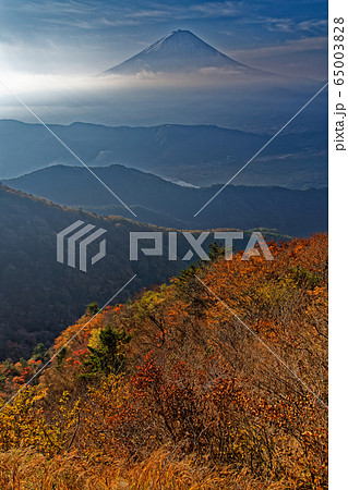 御坂山地・鬼ヶ岳稜線の紅葉と富士山 65003828