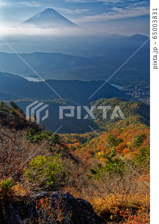 御坂山地・鬼ヶ岳稜線の紅葉と富士山 65003831