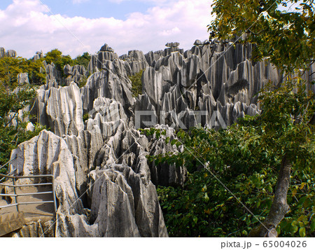 中国・石林 65004026