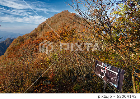 御坂山地・鍵掛峠付近から見る王岳稜線 65004145
