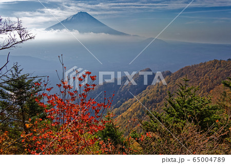 御坂山地・王岳稜線の紅葉と富士山 御坂山地・王岳稜線の紅葉と富士山 65004789