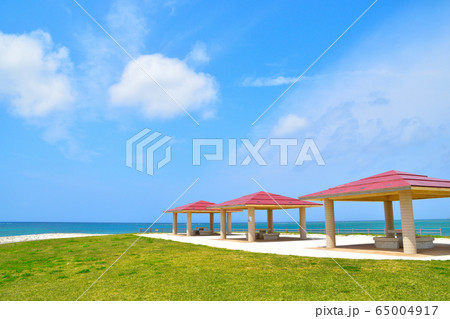 豊崎総合公園 3月撮影 豊崎総合公園 3月撮影 65004917