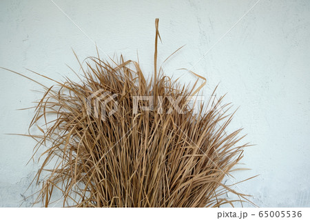Dry grass on grey background wall 65005536