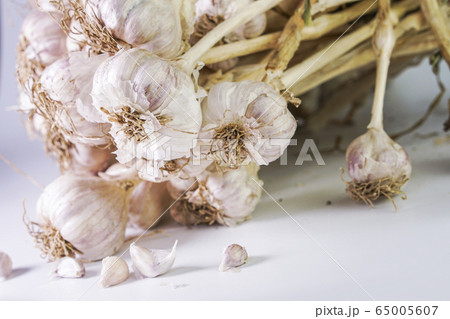 Photos of Thai garlic on white background. Photos of Thai garlic on white background. 65005607