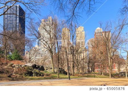 New York City buildings from Central park 65005876