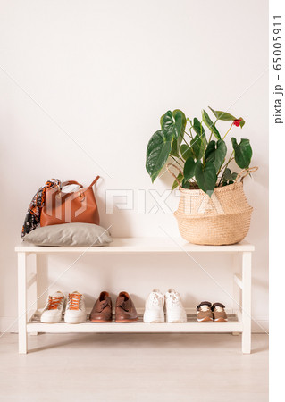 White shelves with sportive and casual footwear, brown leather bag and plant White shelves with sportive and casual footwear, brown leather bag and plant 65005911