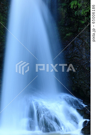 河津七滝　大滝 65006186