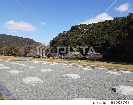 太宰府政庁跡 太宰府政庁跡 65008748