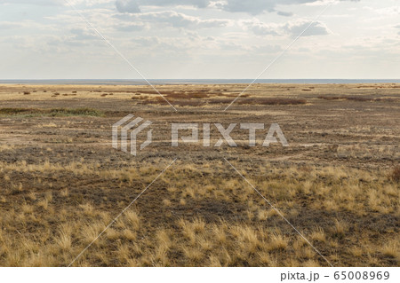 steppe in Kazakhstan 65008969