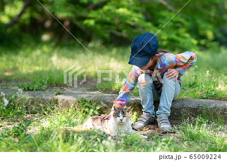 猫と遊ぶ女の子 猫と遊ぶ女の子 65009224
