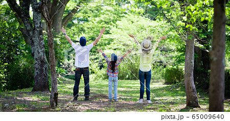 森の中で両手を広げる3人家族 森の中で両手を広げる3人家族 65009640