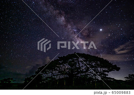 伊平屋島　念頭平松と天の川 65009883