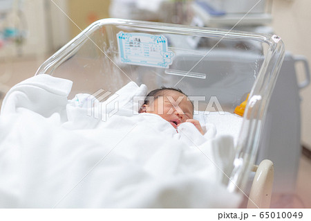 新生児　生後1日の赤ちゃん 65010049