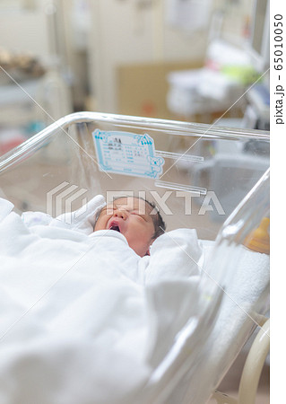 新生児　生後1日の赤ちゃん 65010050