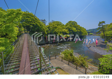 五竜の滝　こいのぼり　【静岡県】 65010149