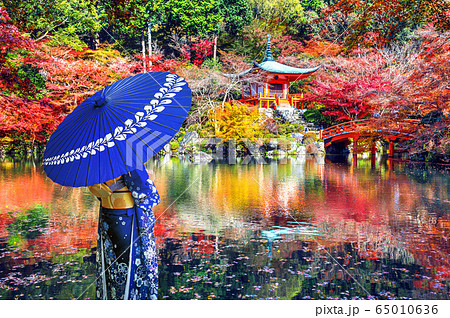 Asian woman wearing japanese traditional kimono in Daigoji temple, Kyoto. Japan autumn seasons. 65010636