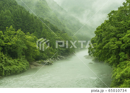梅雨　増水した河川　櫛田川　雨天に煙る川　豪雨洪水　イメージ素材 65010734