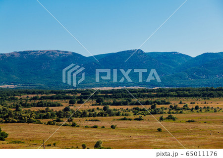 landscape of beautiful forest nature with fields and blue sky landscape of beautiful forest nature with fields and blue sky 65011176