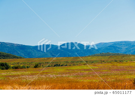 landscape of beautiful forest nature with fields and blue sky landscape of beautiful forest nature with fields and blue sky 65011177