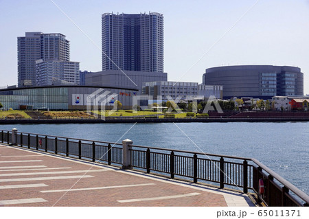豊洲公園・遊歩道 豊洲公園・遊歩道 65011371