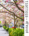 桜新町 65011651