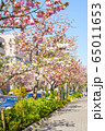 桜新町 65011653