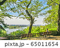 多摩川台公園 65011654