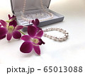 パール　ジュエリーギフト 65013088