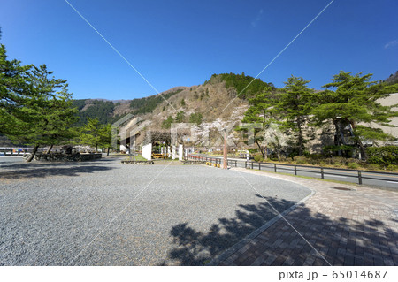桜咲く奥多摩湖 北岸の広場 桜咲く奥多摩湖 北岸の広場 65014687