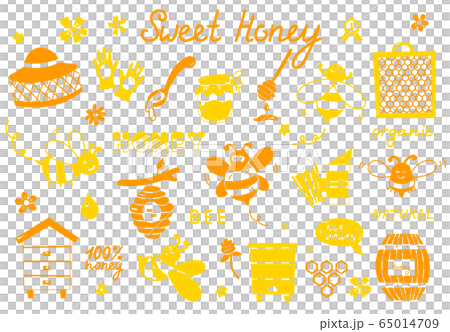 Set of bee, honey, lettering and other beekeeping illustration. Vector EPS10 65014709