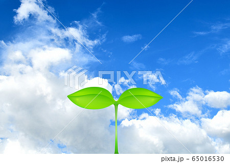 夏の空のイラスト素材