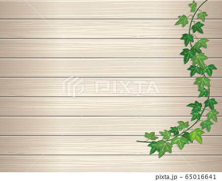 蔦と木目のある木の板 案内板のイラストボード背景 タイトルバック キャッチコピーバナー用背景素材のイラスト素材