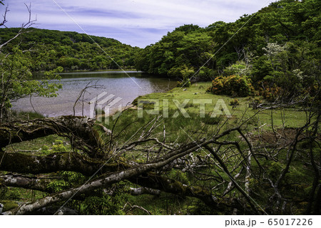 （静岡県）天城の八丁池 65017226