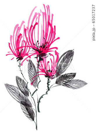 Red flower with leaves Red flower with leaves 65017237