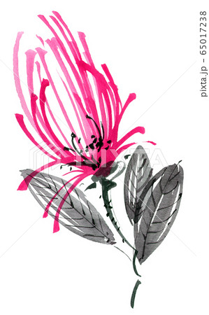 Red flower with leaves Red flower with leaves 65017238