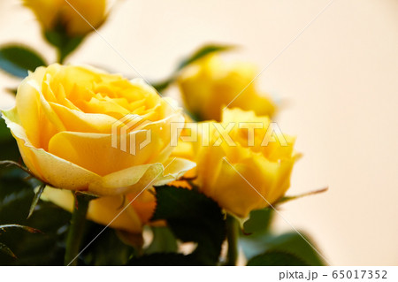Yellow bouquet of roses with green leaves on a blurred background. Postcard 65017352