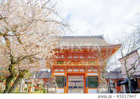 八坂神社 南楼門 八坂神社 南楼門 65017947