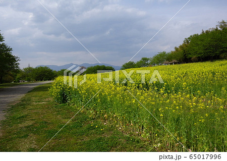 大室公園 65017996