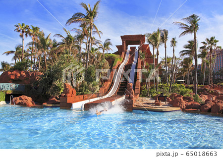 The water slide structure in Paradise Island, Bahamas 65018663