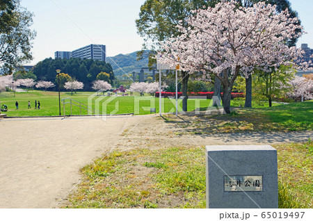 志井公園 65019497